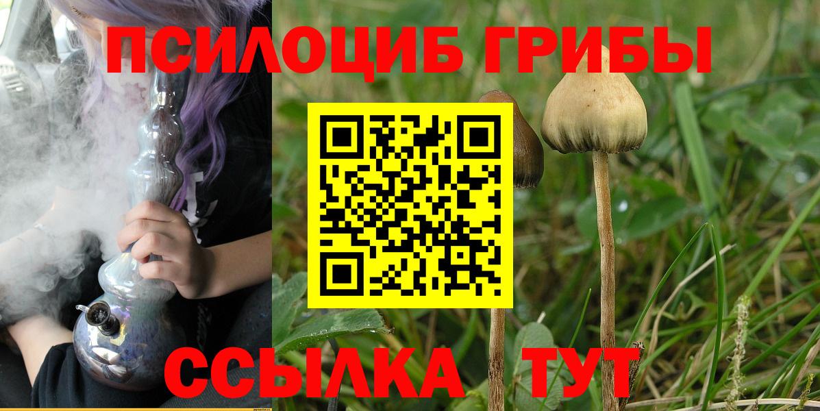 наркошоп  Вход с VPN  Белогорск  Галлюциногенные грибы Psilocybine cubensis 